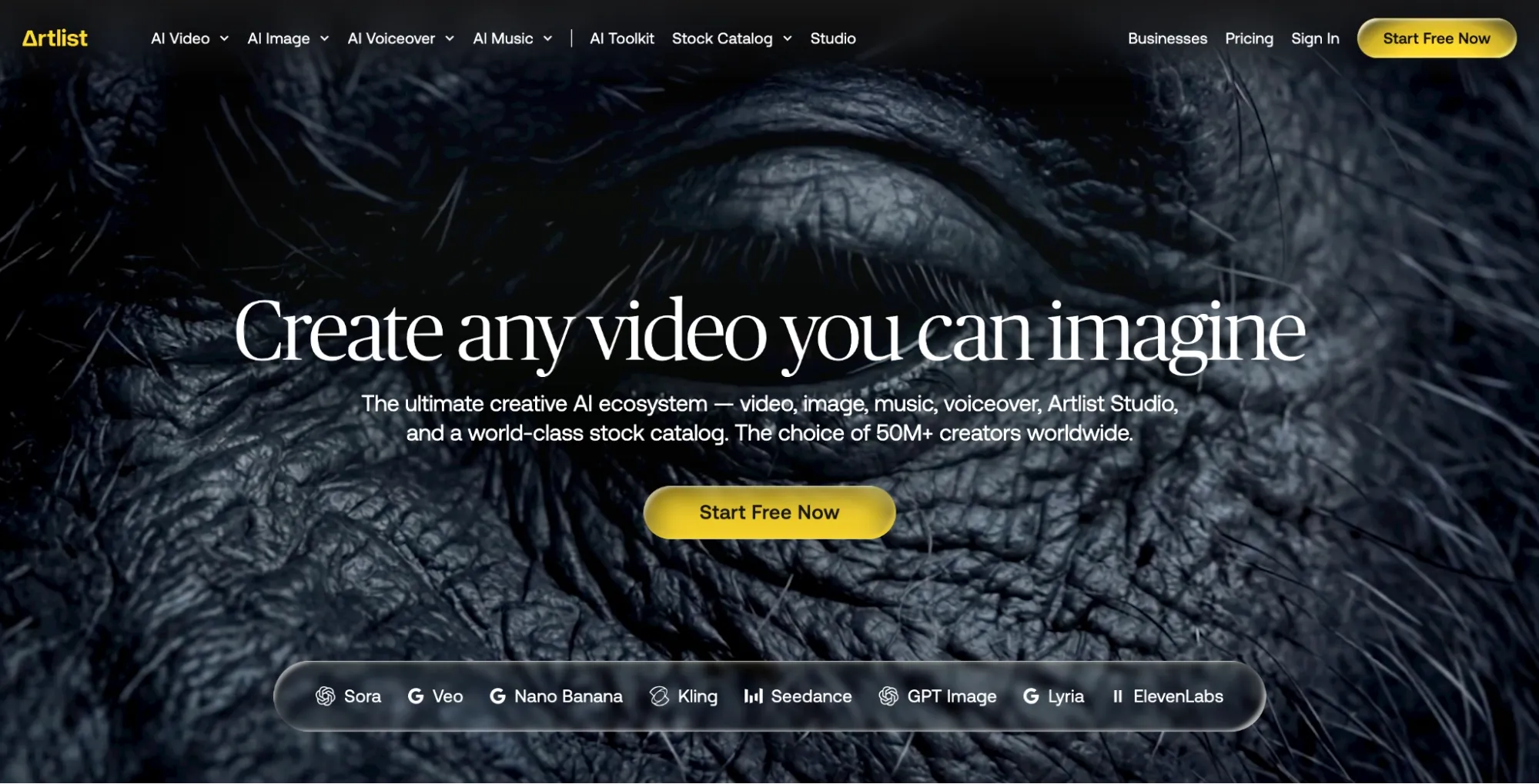 The homepage of Artlist.
