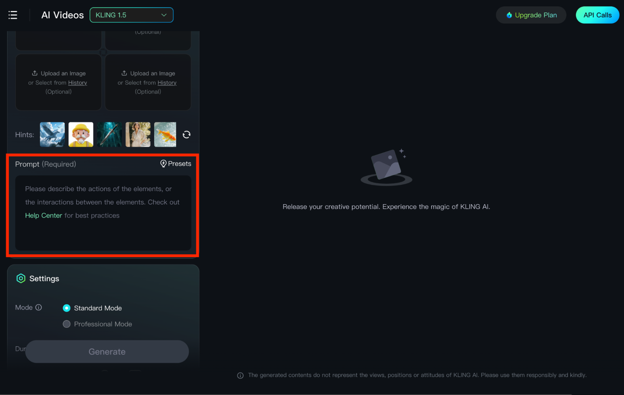 input detailed prompt